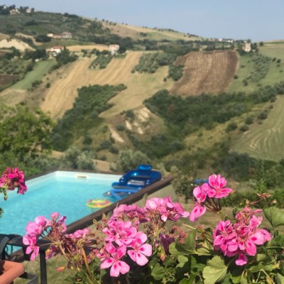 View of the pool from terrace